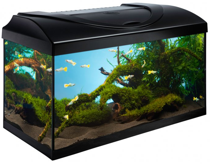 akvarium