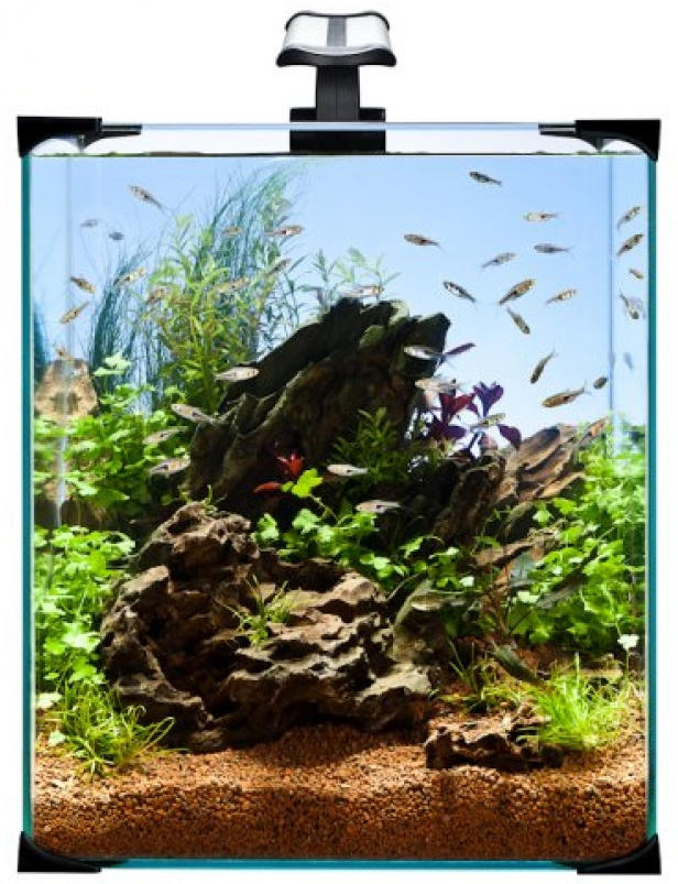 akvarium1